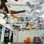 600210955 827468486771899 3881329525615921135 N